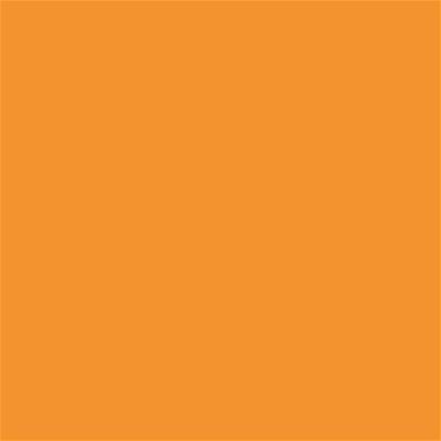 15-1153 TCX Apricot