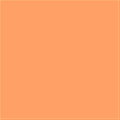 15-1243 TCX Papaya