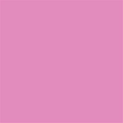 15-2718 TCX Fuchsia Pink