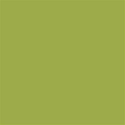 16-0435 TCX Dark Citron