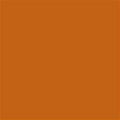 17-1145 TCX Autumn Maple