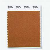 17-1220 TSX Affogato - Polyester Swatch Card