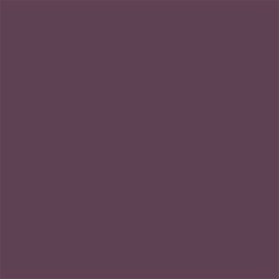 19-1608 TCX Prune Purple