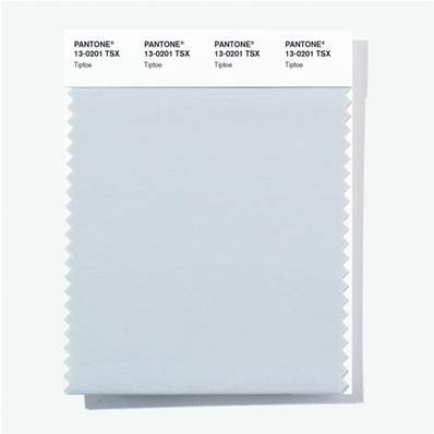 13-0201 TSX Tiptoe - Polyester Swatch Card