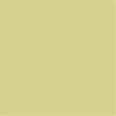 13-0624 TCX Golden Mist