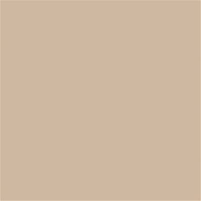 13-1012 TCX Frosted Almond