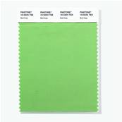 16-0223 TSX Bull Kelp - Polyester Swatch Card