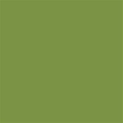 17-0336 TCX Peridot