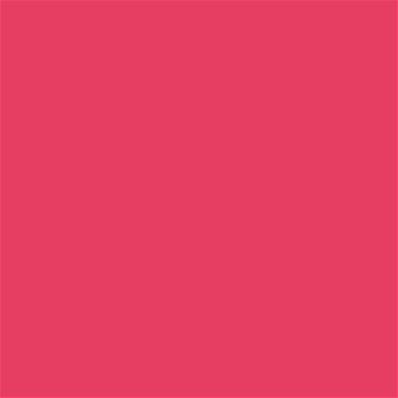 17-1755 TCX Paradise Pink