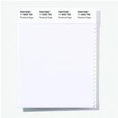 11-4002 TSX Powdered Sugar - Polyester Swatch Card