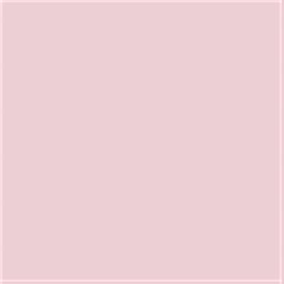 13-2808 TCX Ballet Slipper