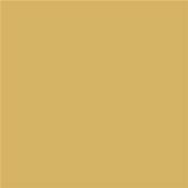 14-0937 TSX Banana Pudding - Polyester Swatch Card