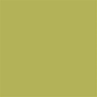 15-0535 TCX Palm
