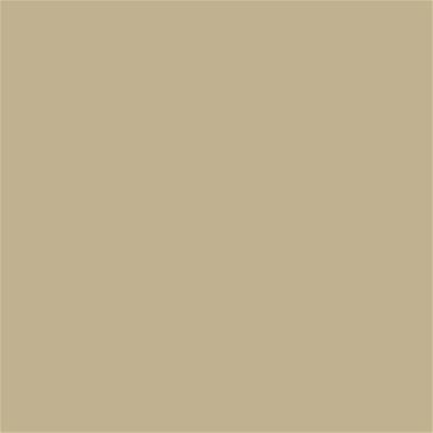 15-1216 TCX Pale Khaki