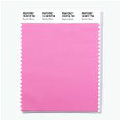 15-2615 TSX Bashful Blush - Polyester Swatch Card
