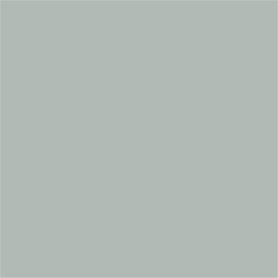15-4003 TCX Storm Gray