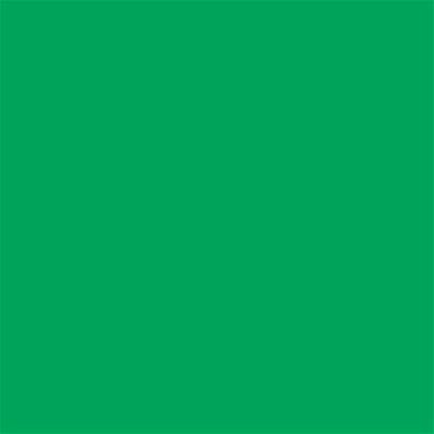 15-5534 TCX Bright Green