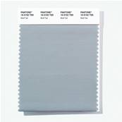 16-0102 TSX Wolf Tail - Polyester Swatch Card