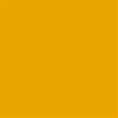 16-1164 TCX Orange Pepper