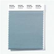 16-4704 TSX Thundercloud - Polyester Swatch Card