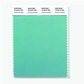 16-5616 TSX Weathered Metal - Polyester Swatch Card
