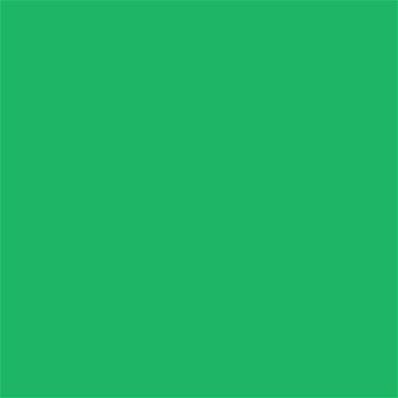 16-6240 TCX Island Green