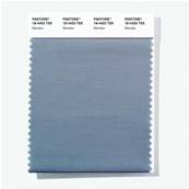 18-4403 TSX Manatee - Polyester Swatch Card