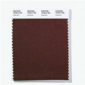 19-0914 TSX Fertile Soil - Polyester Swatch Card