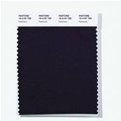 19-4107 TSX Cavernous - Polyester Swatch Card