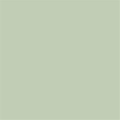 13-0210 TCX Fog Green