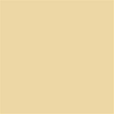 13-0917 TCX Italian Straw