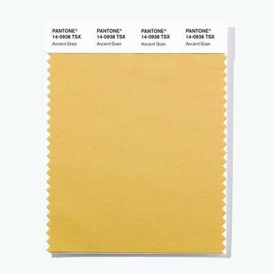 14-0938 TSX Ancient Grain - Polyester Swatch Card
