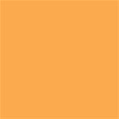 14-1052 TCX Kumquat