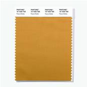 16-1030 TSX Peanut Butter - Polyester Swatch Card
