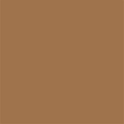 17-1134 TCX Brown Sugar