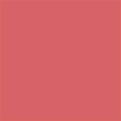 17-1644 TCX Spiced Coral