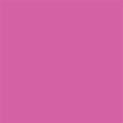17-2627 TCX Phlox Pink