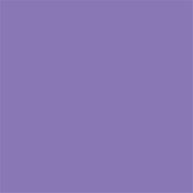 17-3730 TCX Paisley Purple