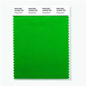 18-6032 TSX Putting Green - Polyester Swatch Card