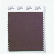 19-0202 TSX Stingray - Polyester Swatch Card