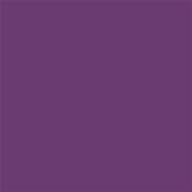 19-3540 TCX Purple Magic