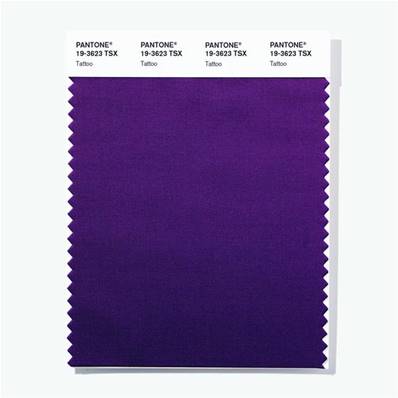 19-3623 TSX Tattoo - Polyester Swatch Card