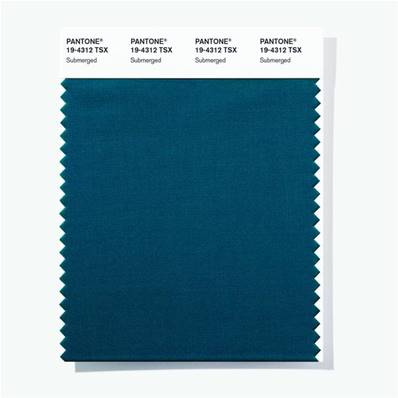 19-4312 TSX Submerged - Polyester Swatch Card