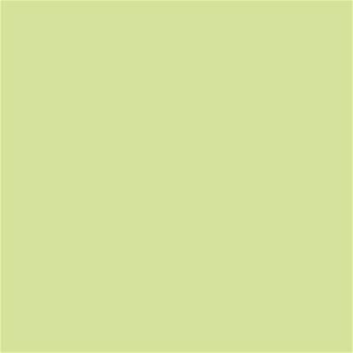 13-0319 TCX Shadow Lime