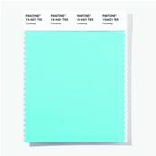 13-4421 TSX Castaway - Polyester Swatch Card