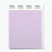 14-3902 TSX Dream of Cotton - Polyester Swatch Card
