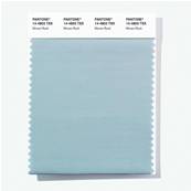 14-4803 TSX Woven Rush - Polyester Swatch Card