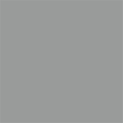 14-5002 TCX Silver