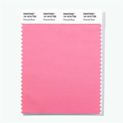 15-1619 TSX Pressed Rose - Polyester Swatch Card
