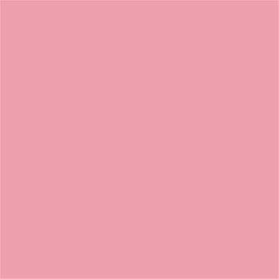 15-1816 TCX Peony